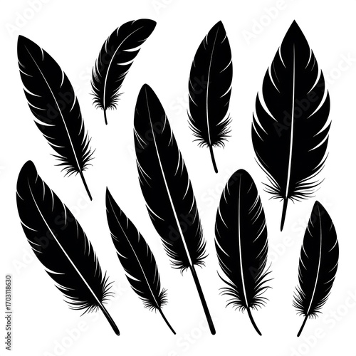 Black feather silhouettes