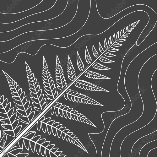 Vector art of stylized white fern frond illustration with abstract wavy lines on a dark gray background