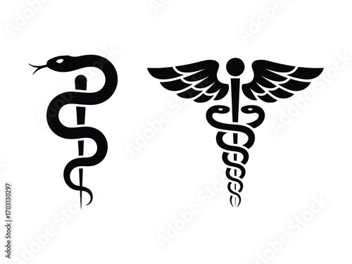 Caduceus medical symbol vector