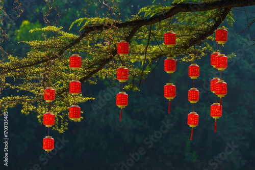 chinese new year tree with red lanterns