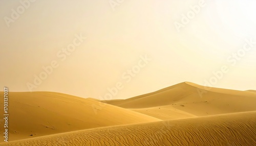Fototapeta Naklejka Na Ścianę i Meble -  Golden Sand Dunes Under a Hazy Sky