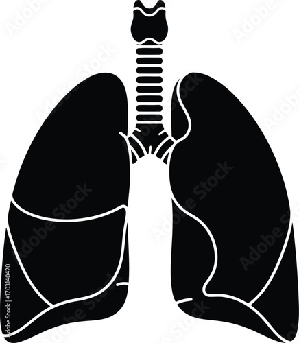 Anatomical human lungs silhouette icon vector graphic medical health respiratory system organ illustration vector