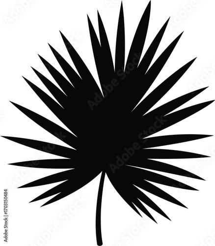 Silhouette of a palm frond leaf vector graphic element minimalist tropical nature design vector