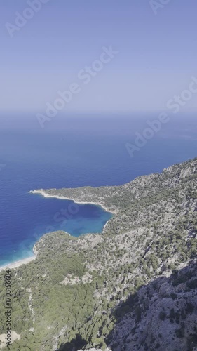 Oceanic pine landscape.Cliffside forest coastline Coastal rocky