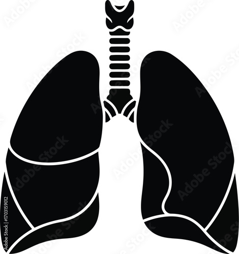 Stylized black silhouette of human lungs and trachea medical illustration for healthcare and science concepts vector