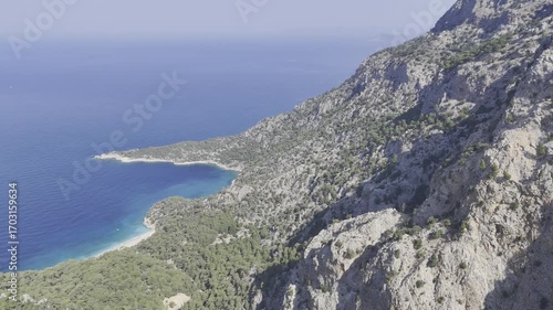 Oceanic pine landscape.Cliffside forest coastline Coastal rocky
