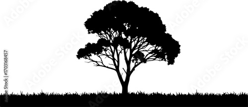 Black silhouette of a solitary tree on a grassy field. Vector graphic art isolated on white