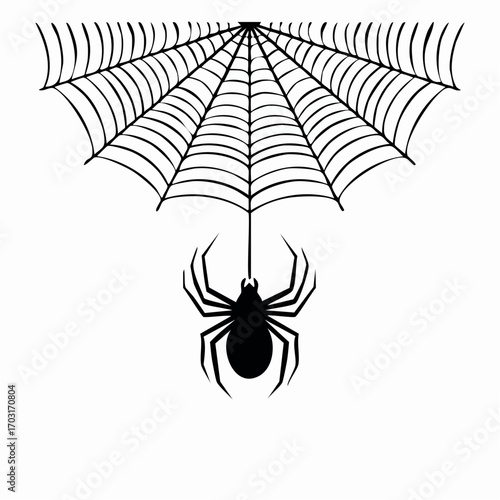 Spiders on a Web