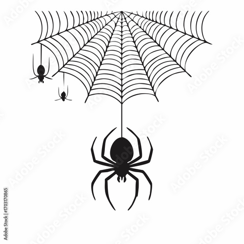 Spiders on a Web