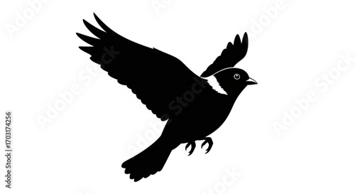 Silhouette of a bird in flight, a graceful depiction of freedom, nature, and the beauty of avian life