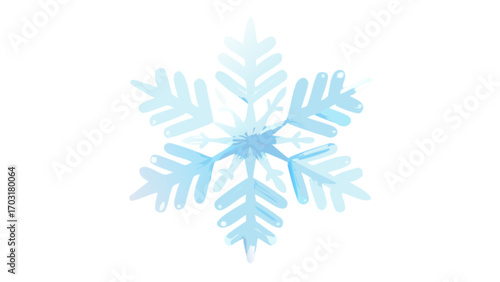 Download beautiful winter snowflake vector illustration design element for free use now