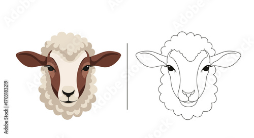 Realistic Sheep Head Illustration and Outline for Coloring.