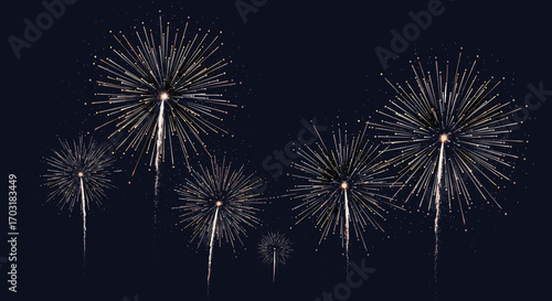 Beautiful White Fireworks Display on a Dark Night Sky.