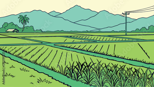 Green rice fields with irrigation channels and mountain range.