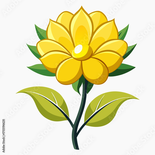  rape yellow vector illustration on white