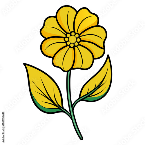 minimal  rape yellow  flower vector illustration line art on white