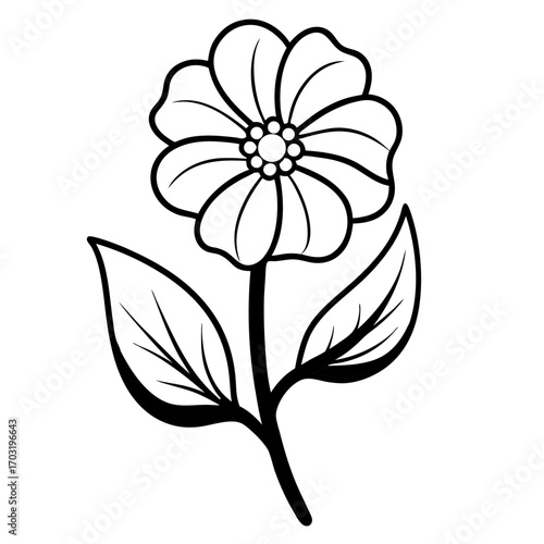  rape yellow  line art vector on white