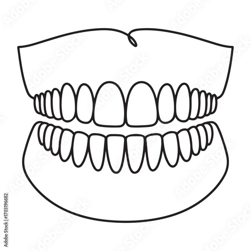 One continuous line Art drawing of anatomical complete adult human teeth set. with white background