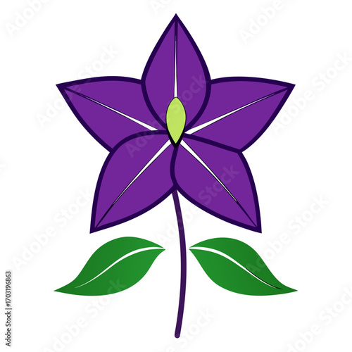 scaevola-purple-fanfare vector isolated  on white background