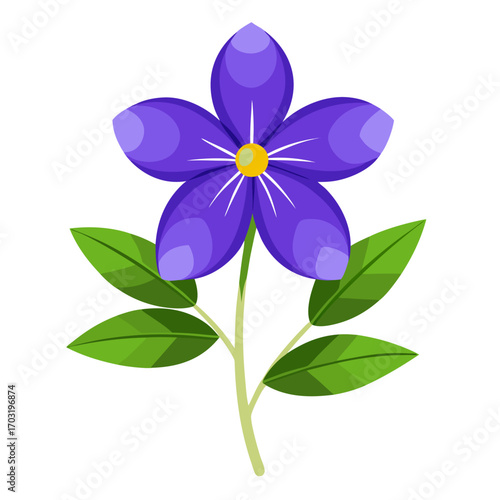 scaevola purple fanfare flower vector on white background