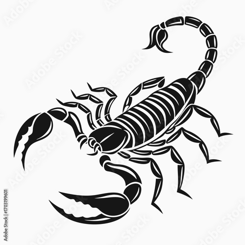 Black and white scorpion vector illustration with detailed claws and tail.