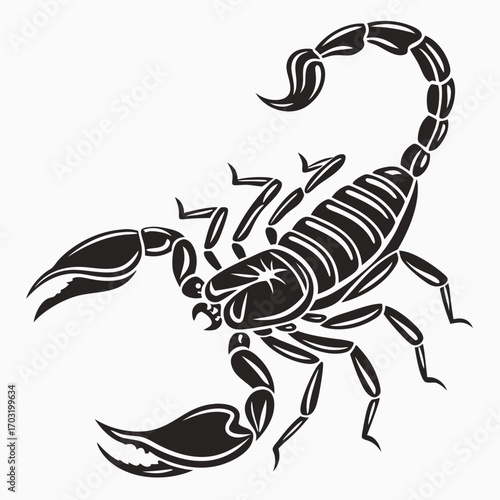 Black and white scorpion detailed illustration.
