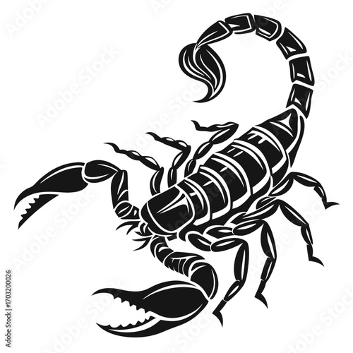 Detailed Illustration of a Scorpion.