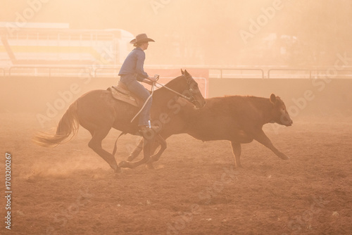 Campdraft participant on horseback with cow