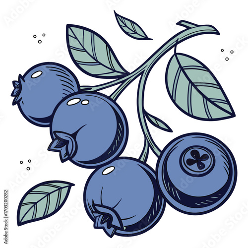 Bunch of Blueberries on a Branch with Leaves and Dots fruit food