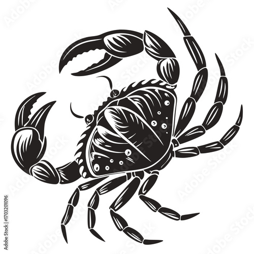 Detailed black and white illustration of a crab with sharp claws and legs.