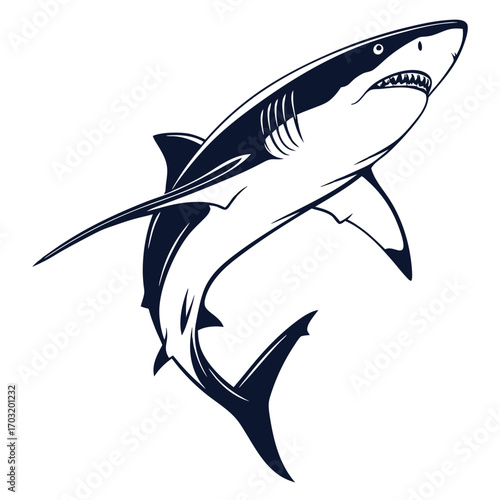 Striking Great White Shark Illustration in Black and White.