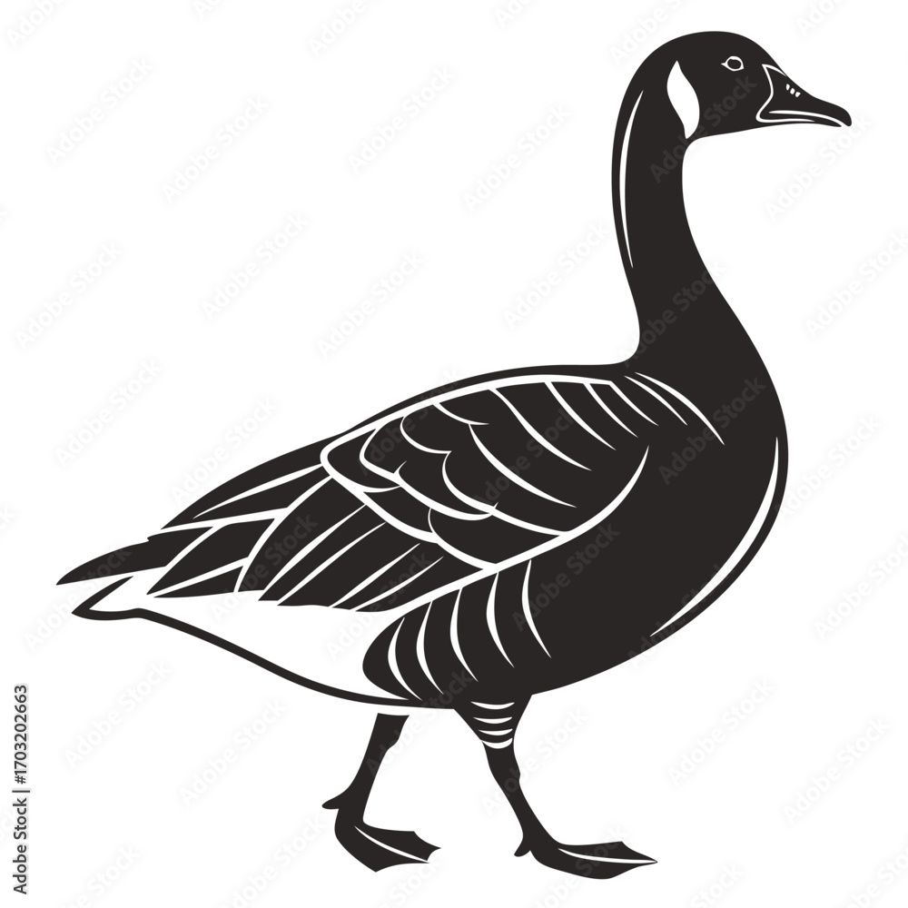 Fototapeta premium Monochromatic Goose Illustration Walking Gracefully.