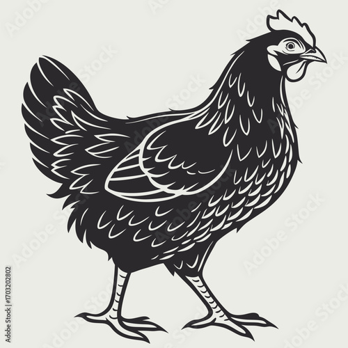 Detailed illustration of a hen in a walking pose, showcasing its features.