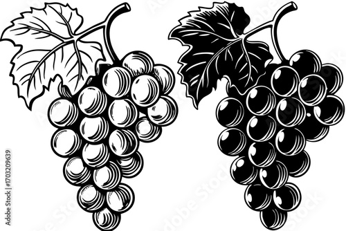 bunch of grapes