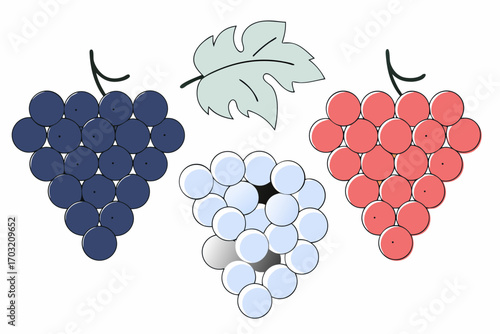 bunch of grapes