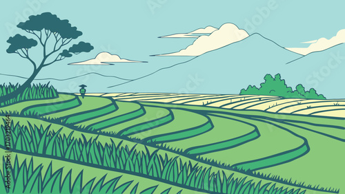Green Terraced Rice Fields with a Lone Figure.