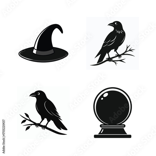 Black witch hat raven crystal ball black hat crow