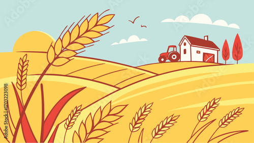 Golden wheat stalks in a field, ready for harvest.