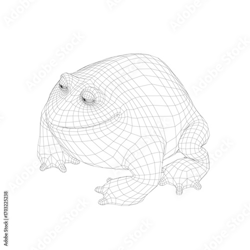 A fat frog 3D wireframe model rendered realistically on a clean white background.