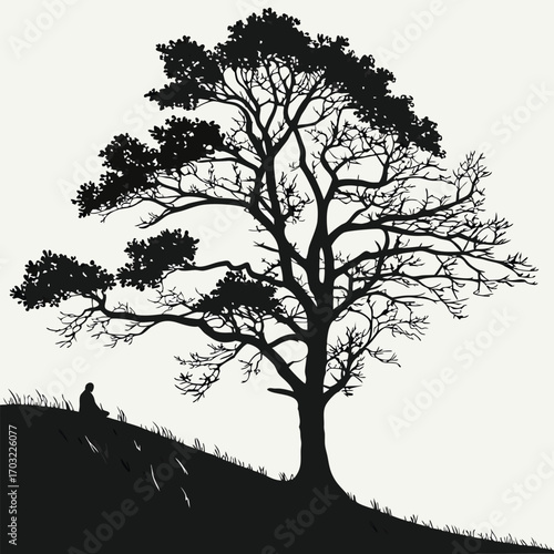Silhouette of a majestic tree on a hill with a person sitting nearby.