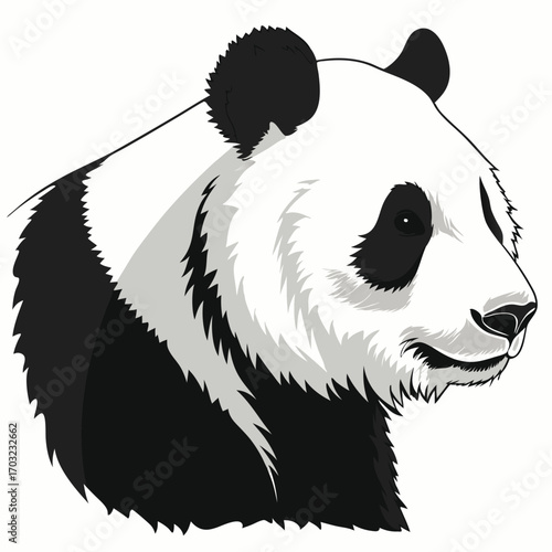 Detailed Panda Head Illustration with Distinct Black and White Markings.