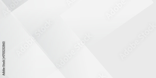 Vector white backdrop with elegant shape design. Abstract white geometric shape background. Modern square shape graphic elements. premium disign