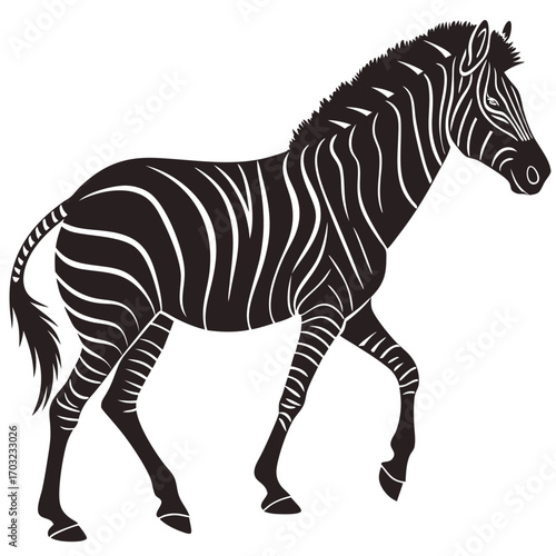 Elegant zebra silhouette walking gracefully across the plains, a striking monochrome image.