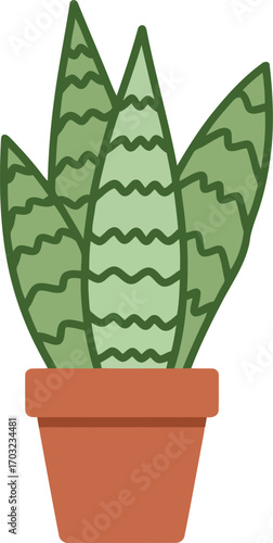 Sansevieria plant in terracotta pot minimalist illustration vector hand drawn