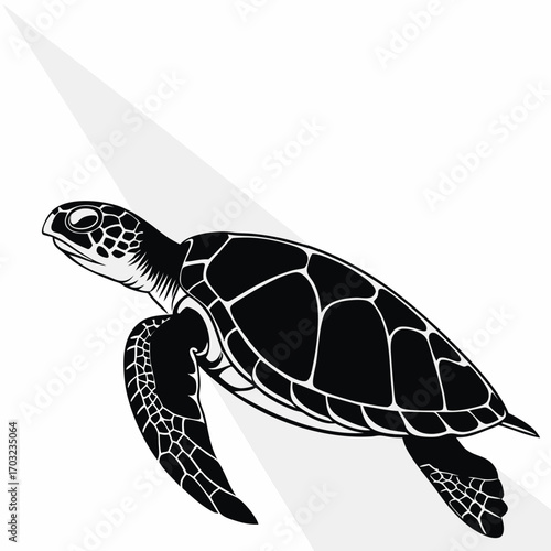 Sea Turtle Illustration - Detailed Black and White Aquatic Creature.