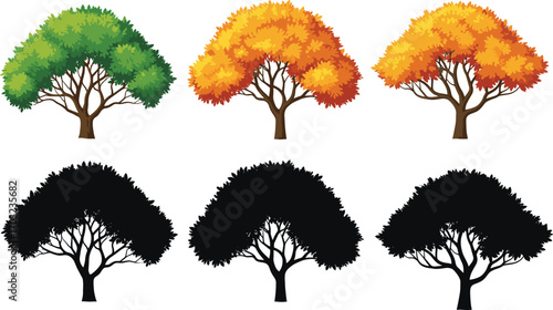 Seasonal Tree Foliage and Silhouette Comparison, Spring to Autumn Color Change, Stylized Botanical Illustration for Art, Design, and Education Use
