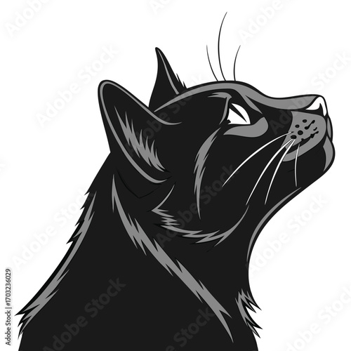 Elegant black cat looking up with focused expression and detailed fur.