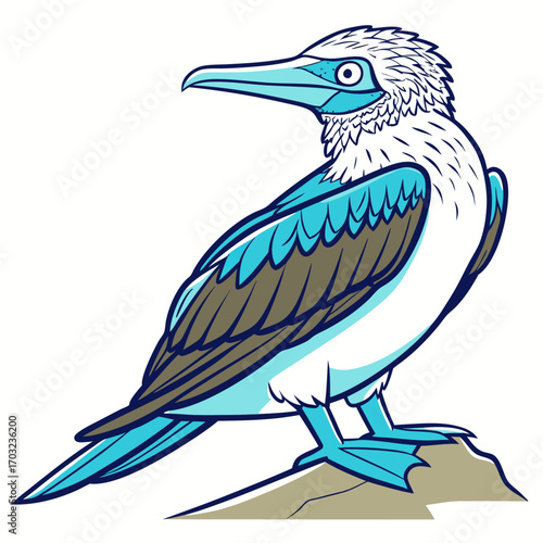 Blue footed booby bird cartoon illustration
