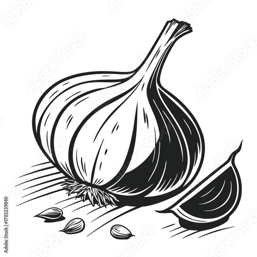 A detailed black and white illustration of a garlic bulb with cloves and seeds.