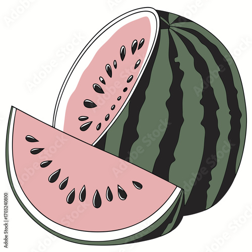 Illustration of a whole watermelon and two slices showing the pink flesh and black seeds.